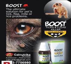 Boost ticks fleas Liq - Paws & Claws