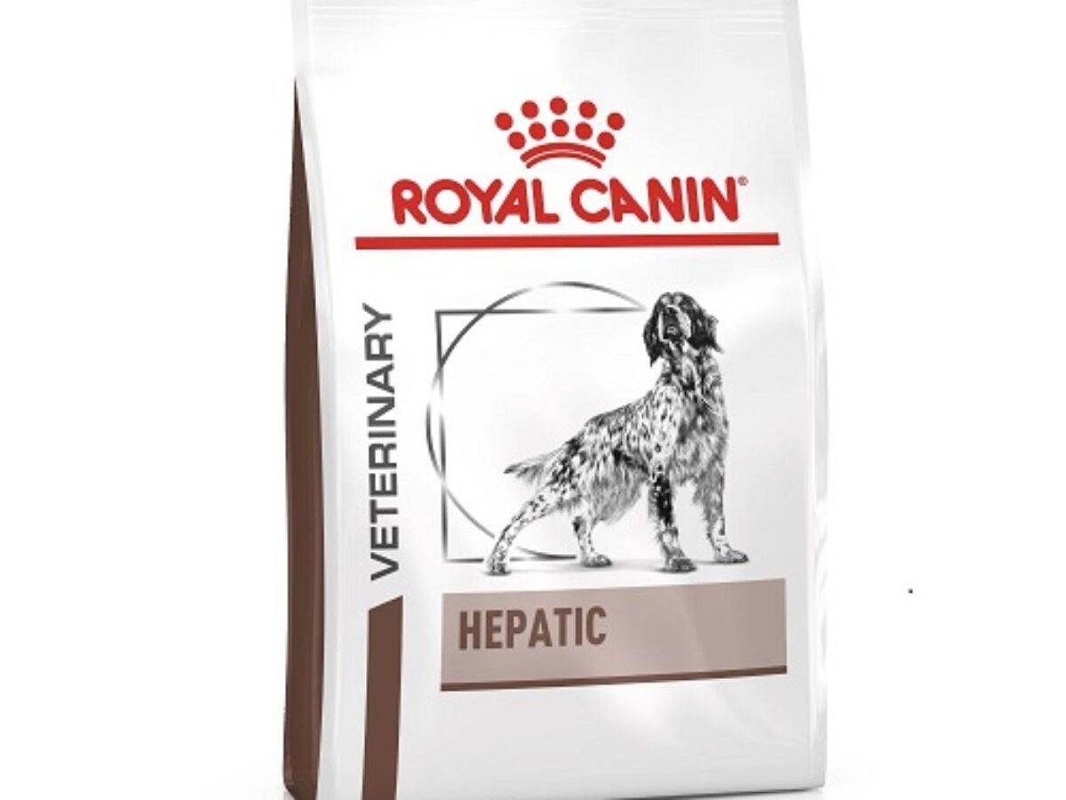 Royal Canin Hepatic Dry Dog - Paws & Claws