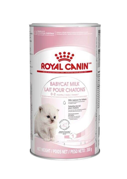 Royal Canin Babycat Milk – Milk Replacer for Kittens - Paws & Claws