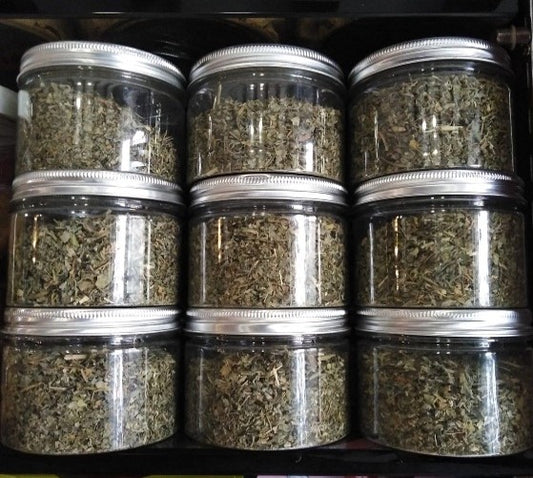 Cat Nip 30GM 1791
