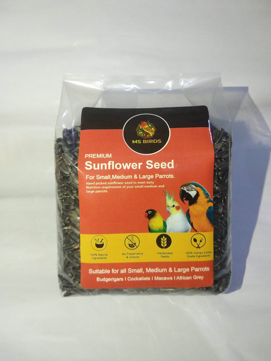 MS Bird Sunflower Seed 550GM - Paws & Claws