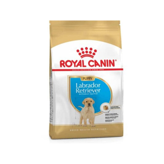 Royal Canin Labrador Retriever Puppy