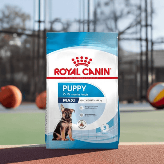 Royal Canin Maxi Puppy - Paws & Claws