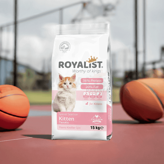 Royalist Kitten Chicken Food 15 KG - Paws & Claws