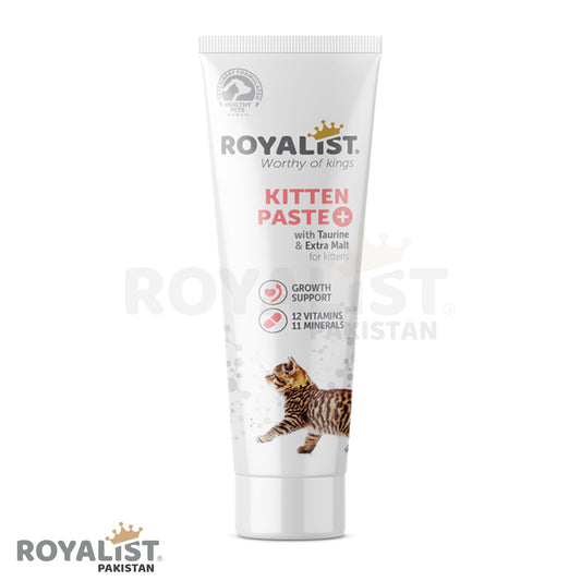 Kitten Paste 100 GM