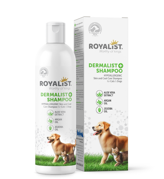 Royalist Dermalist Skin Shampoo